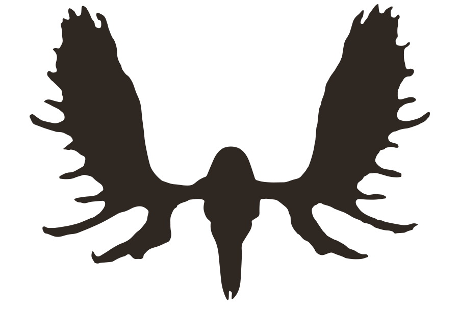 MOOSE Media